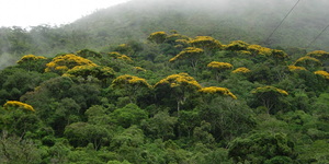 Unveil 8a21a6f614db065bb1ca2c21a5c803aede783f93e5277febbd47f37d9dbae4ca