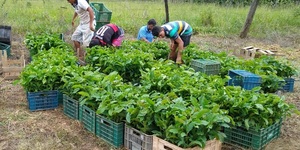 Unveil 8a21a6f614db065bb1ca2c21a5c803aede783f93e5277febbd47f37d9dbae4ca