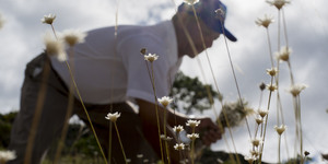 Unveil 8a21a6f614db065bb1ca2c21a5c803aede783f93e5277febbd47f37d9dbae4ca