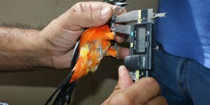 Unveil 8a21a6f614db065bb1ca2c21a5c803aede783f93e5277febbd47f37d9dbae4ca