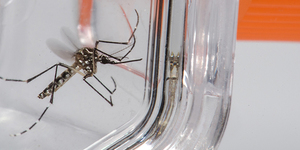 Unveil 8a21a6f614db065bb1ca2c21a5c803aede783f93e5277febbd47f37d9dbae4ca