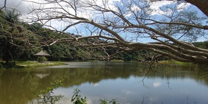 Unveil 8a21a6f614db065bb1ca2c21a5c803aede783f93e5277febbd47f37d9dbae4ca