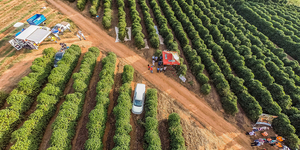 Unveil 8a21a6f614db065bb1ca2c21a5c803aede783f93e5277febbd47f37d9dbae4ca