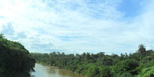 Unveil 8a21a6f614db065bb1ca2c21a5c803aede783f93e5277febbd47f37d9dbae4ca