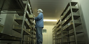 Unveil 8a21a6f614db065bb1ca2c21a5c803aede783f93e5277febbd47f37d9dbae4ca