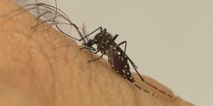 Unveil 8a21a6f614db065bb1ca2c21a5c803aede783f93e5277febbd47f37d9dbae4ca