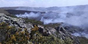 Unveil 8a21a6f614db065bb1ca2c21a5c803aede783f93e5277febbd47f37d9dbae4ca