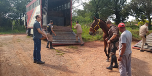 Unveil 8a21a6f614db065bb1ca2c21a5c803aede783f93e5277febbd47f37d9dbae4ca