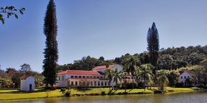 Unveil 8a21a6f614db065bb1ca2c21a5c803aede783f93e5277febbd47f37d9dbae4ca