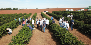 Unveil 8a21a6f614db065bb1ca2c21a5c803aede783f93e5277febbd47f37d9dbae4ca