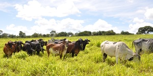 Unveil 8a21a6f614db065bb1ca2c21a5c803aede783f93e5277febbd47f37d9dbae4ca