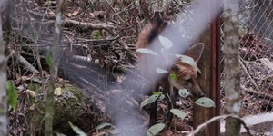 Unveil 8a21a6f614db065bb1ca2c21a5c803aede783f93e5277febbd47f37d9dbae4ca