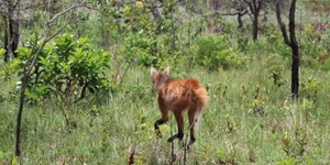 Unveil 8a21a6f614db065bb1ca2c21a5c803aede783f93e5277febbd47f37d9dbae4ca