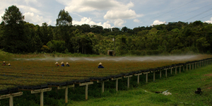 Unveil 8a21a6f614db065bb1ca2c21a5c803aede783f93e5277febbd47f37d9dbae4ca