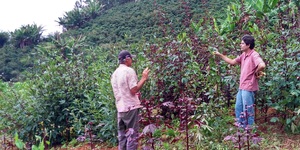 Unveil 8a21a6f614db065bb1ca2c21a5c803aede783f93e5277febbd47f37d9dbae4ca