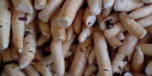 Unveil 8a21a6f614db065bb1ca2c21a5c803aede783f93e5277febbd47f37d9dbae4ca