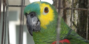 Unveil 8a21a6f614db065bb1ca2c21a5c803aede783f93e5277febbd47f37d9dbae4ca