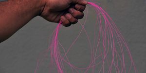 Unveil 8a21a6f614db065bb1ca2c21a5c803aede783f93e5277febbd47f37d9dbae4ca