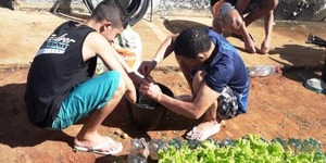 Unveil 8a21a6f614db065bb1ca2c21a5c803aede783f93e5277febbd47f37d9dbae4ca