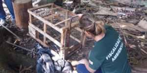 Unveil 8a21a6f614db065bb1ca2c21a5c803aede783f93e5277febbd47f37d9dbae4ca