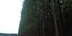 Unveil 8a21a6f614db065bb1ca2c21a5c803aede783f93e5277febbd47f37d9dbae4ca