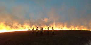 Unveil 8a21a6f614db065bb1ca2c21a5c803aede783f93e5277febbd47f37d9dbae4ca