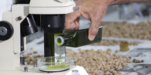 Unveil 8a21a6f614db065bb1ca2c21a5c803aede783f93e5277febbd47f37d9dbae4ca