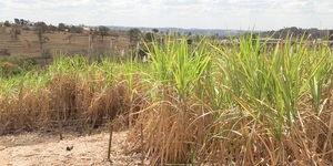 Unveil 8a21a6f614db065bb1ca2c21a5c803aede783f93e5277febbd47f37d9dbae4ca