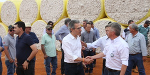 Unveil 8a21a6f614db065bb1ca2c21a5c803aede783f93e5277febbd47f37d9dbae4ca