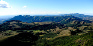 Unveil 8a21a6f614db065bb1ca2c21a5c803aede783f93e5277febbd47f37d9dbae4ca