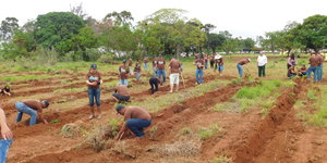 Unveil 8a21a6f614db065bb1ca2c21a5c803aede783f93e5277febbd47f37d9dbae4ca