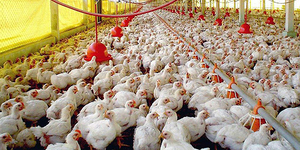 Unveil 8a21a6f614db065bb1ca2c21a5c803aede783f93e5277febbd47f37d9dbae4ca