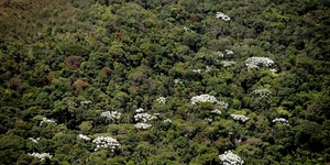 Unveil 8a21a6f614db065bb1ca2c21a5c803aede783f93e5277febbd47f37d9dbae4ca