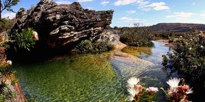 Unveil 8a21a6f614db065bb1ca2c21a5c803aede783f93e5277febbd47f37d9dbae4ca