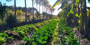 Unveil 8a21a6f614db065bb1ca2c21a5c803aede783f93e5277febbd47f37d9dbae4ca