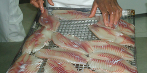 Unveil 8a21a6f614db065bb1ca2c21a5c803aede783f93e5277febbd47f37d9dbae4ca