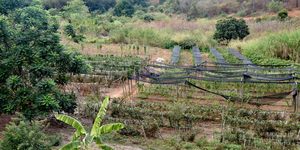 Unveil 8a21a6f614db065bb1ca2c21a5c803aede783f93e5277febbd47f37d9dbae4ca