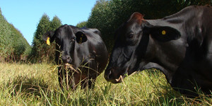 Unveil 8a21a6f614db065bb1ca2c21a5c803aede783f93e5277febbd47f37d9dbae4ca