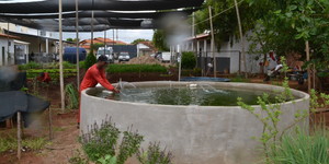 Unveil 8a21a6f614db065bb1ca2c21a5c803aede783f93e5277febbd47f37d9dbae4ca