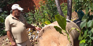 Unveil 8a21a6f614db065bb1ca2c21a5c803aede783f93e5277febbd47f37d9dbae4ca