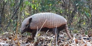 Unveil 8a21a6f614db065bb1ca2c21a5c803aede783f93e5277febbd47f37d9dbae4ca