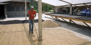 Unveil 8a21a6f614db065bb1ca2c21a5c803aede783f93e5277febbd47f37d9dbae4ca