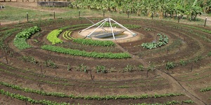 Unveil 8a21a6f614db065bb1ca2c21a5c803aede783f93e5277febbd47f37d9dbae4ca