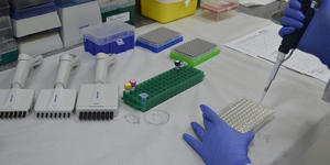 Unveil 8a21a6f614db065bb1ca2c21a5c803aede783f93e5277febbd47f37d9dbae4ca