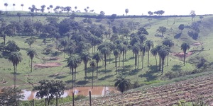 Unveil 8a21a6f614db065bb1ca2c21a5c803aede783f93e5277febbd47f37d9dbae4ca