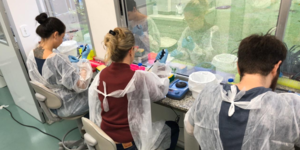 Unveil 8a21a6f614db065bb1ca2c21a5c803aede783f93e5277febbd47f37d9dbae4ca