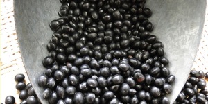 Unveil 8a21a6f614db065bb1ca2c21a5c803aede783f93e5277febbd47f37d9dbae4ca