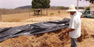 Unveil 8a21a6f614db065bb1ca2c21a5c803aede783f93e5277febbd47f37d9dbae4ca