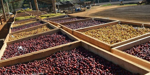 Unveil 8a21a6f614db065bb1ca2c21a5c803aede783f93e5277febbd47f37d9dbae4ca