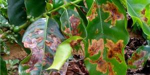 Unveil 8a21a6f614db065bb1ca2c21a5c803aede783f93e5277febbd47f37d9dbae4ca